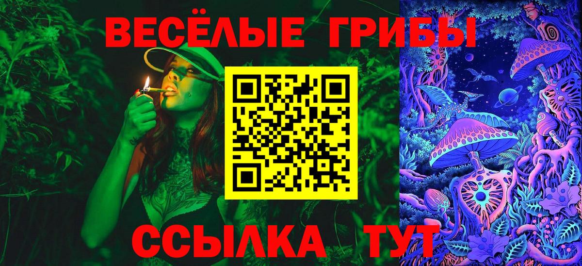 Псилоцибиновые грибы Psilocybe  купить  сайты  Симферополь  Вход с VPN  Псилоцибиновые грибы мицелий 